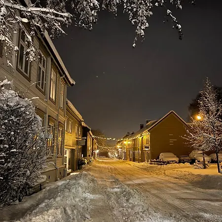 Beautiful House - Walking Distance Of Everything Trondheim